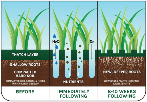 Core‐Plug Aeration