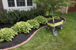 Mulch Installation