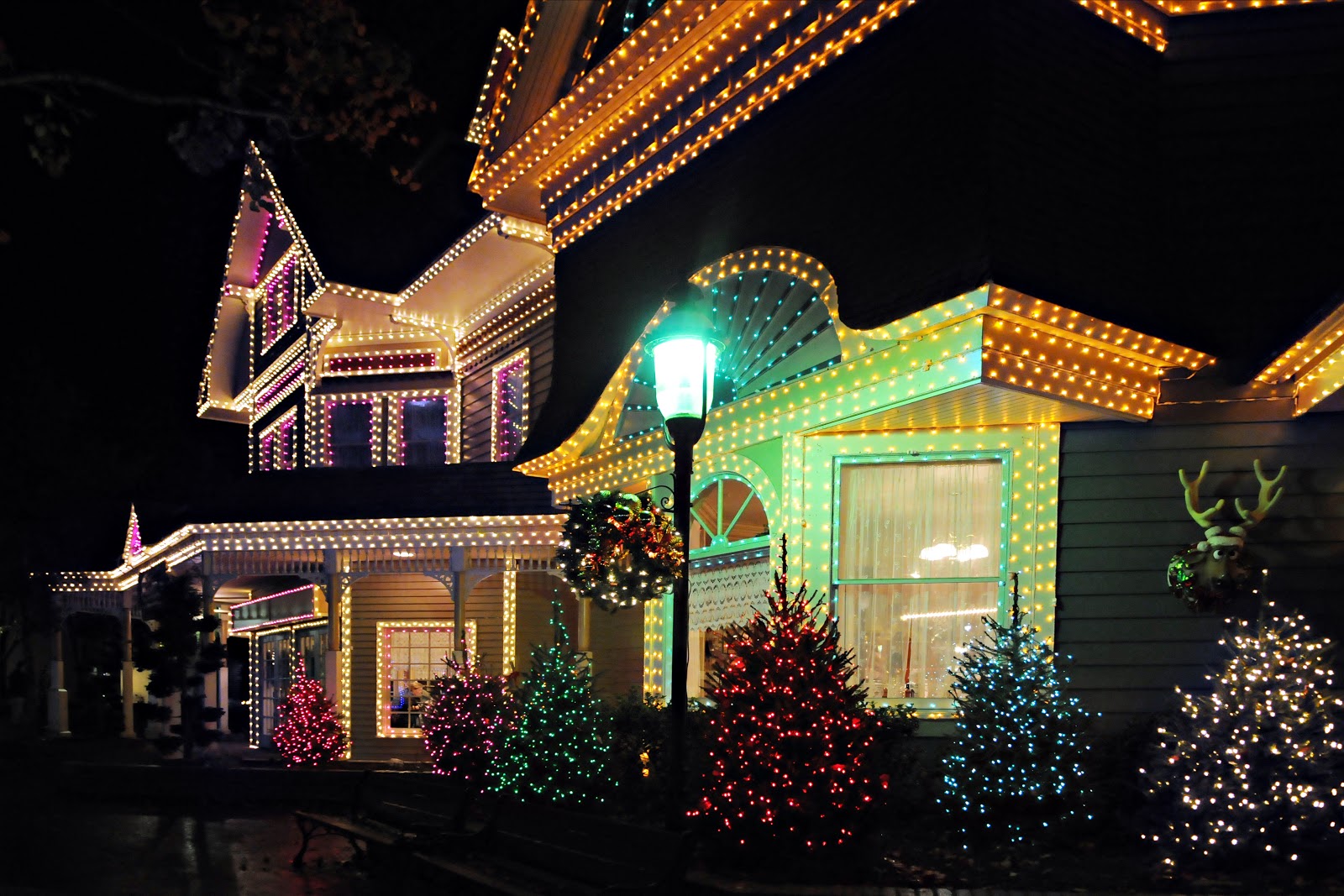 Christmas lighting company | holiday season | 20 years